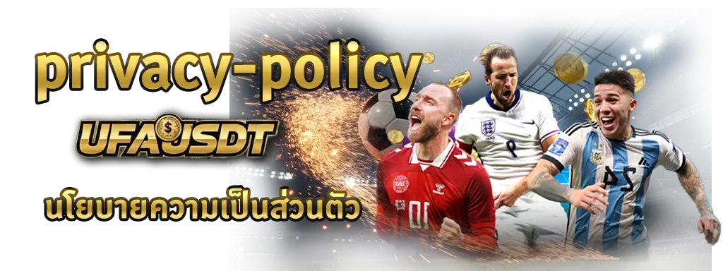 นโยบายความเป็นส่วนตัว